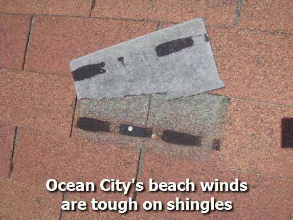 Damaged shingle